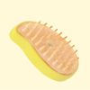 Rechargeable Cat Dog Massage Cleaning Steam Brush