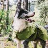 Dog Coats Small Waterproof,Warm Outfit Clothes Dog Jackets Small,Adjustable Drawstring Warm And Cozy Dog Sport Vest-Green size L