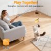 11-Pack Retractable Cat Wand Toys (15'-39'), Interactive Cat Toys for Indoor Cats